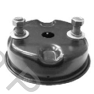 CUERPO SERVICIO SPRING BRAKE 24" 121MM (R3281)
