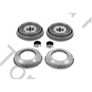 JUEGO DE PISTONES Y GUARDAPOLVOS CALIPER KNORR SN7/SK7 (T8111)